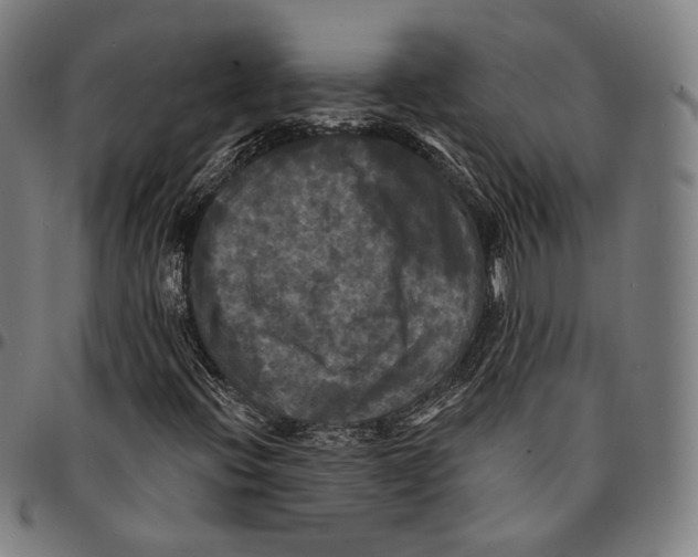 X0000095111396200801041149