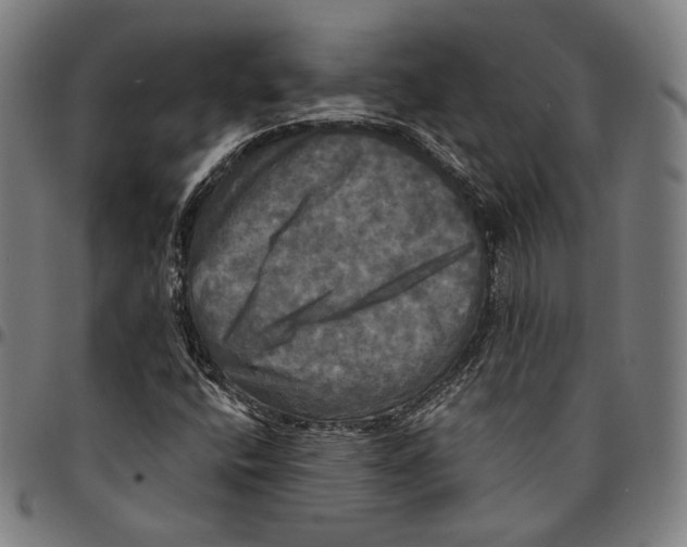 X0000095111400200801041149