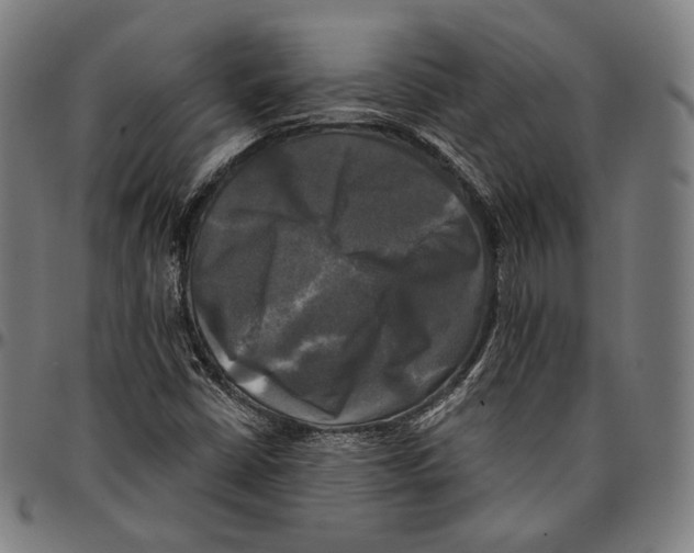 X0000095111402200801041150