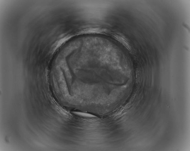 X0000095111404200801041150