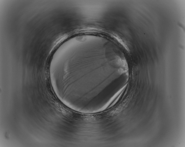 X0000095111405200801041150