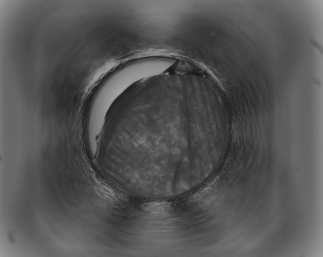 X0000095111406200801041150