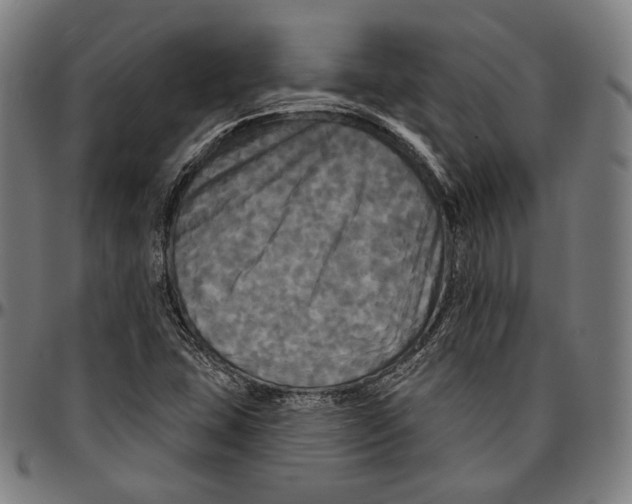 X0000095111407200801041150