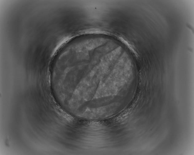 X0000095111408200801041150