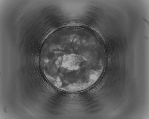 X0000095111409200801041150