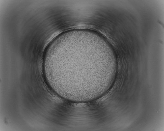 X0000095111410200801041150