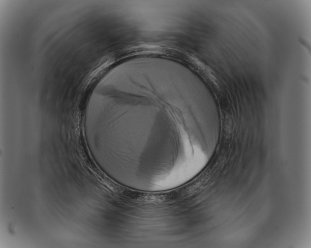 X0000095111411200801041150