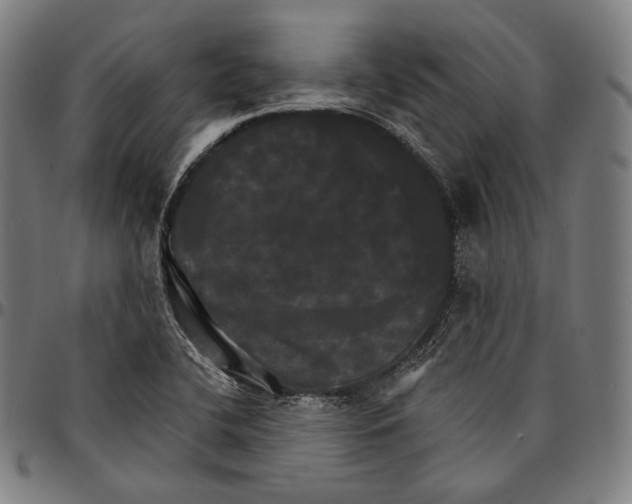 X0000095111412200801041150