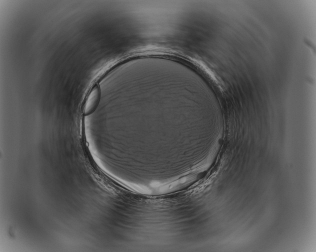 X0000095111413200801041150