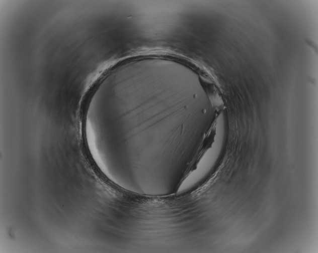 X0000095111414200801041150