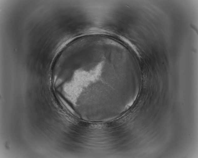 X0000095111415200801041150