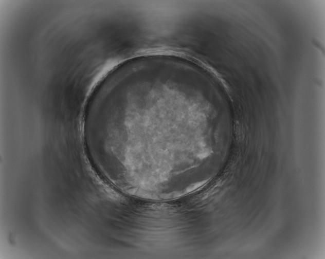 X0000095111416200801041150