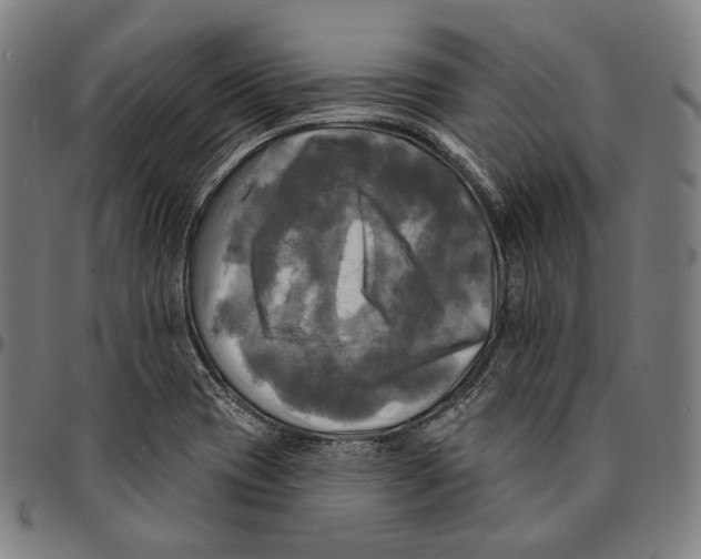 X0000095111417200801041150