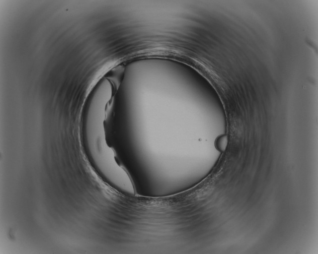 X0000095111418200801041150