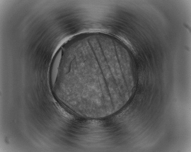 X0000095111420200801041150