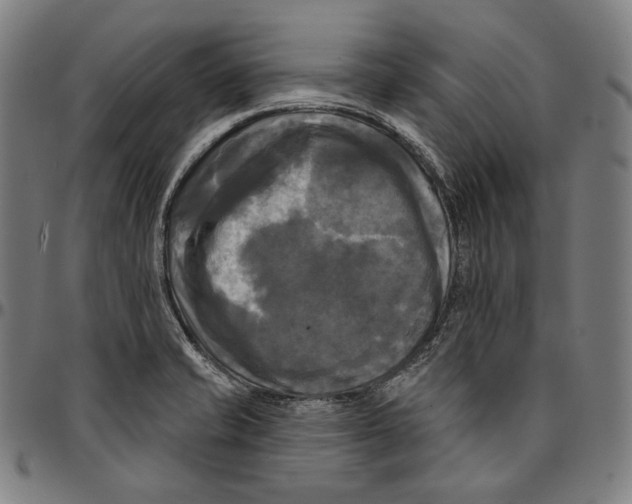 X0000095111421200801041150