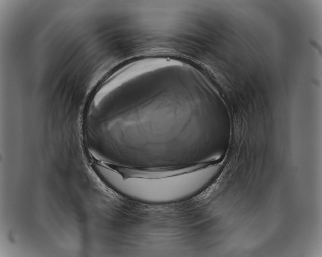 X0000095111422200801041150