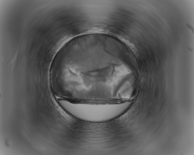 X0000095111423200801041150