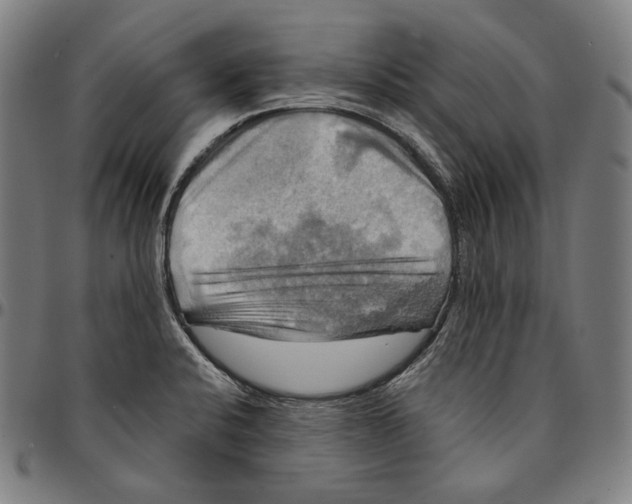 X0000095111424200801041150