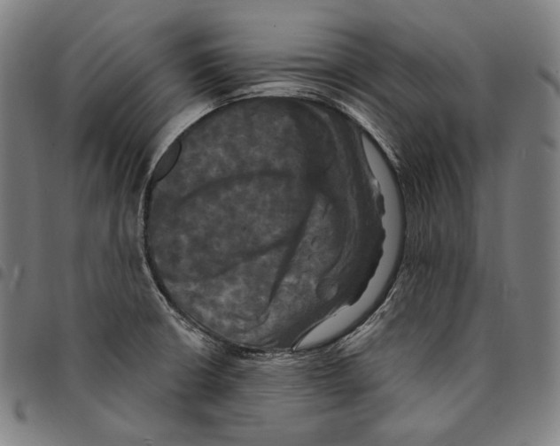 X0000095111426200801041150