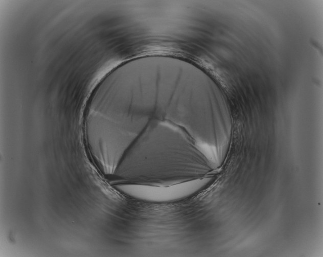 X0000095111427200801041150