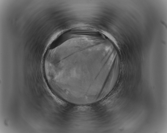 X0000095111429200801041150