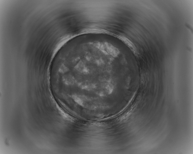 X0000095111430200801041150