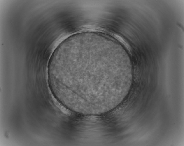 X0000095111431200801041150