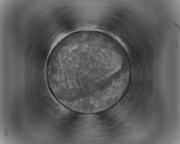 X0000095111432200801041150