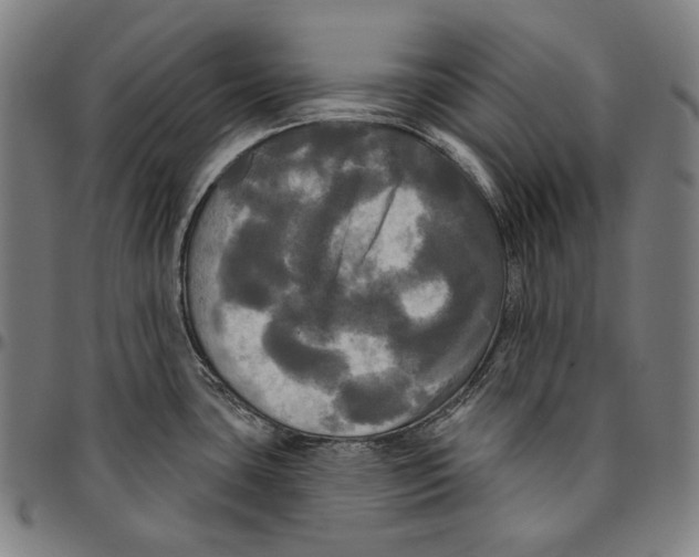 X0000095111435200801041150