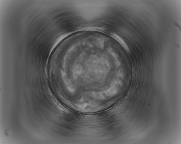 X0000095111436200801041150