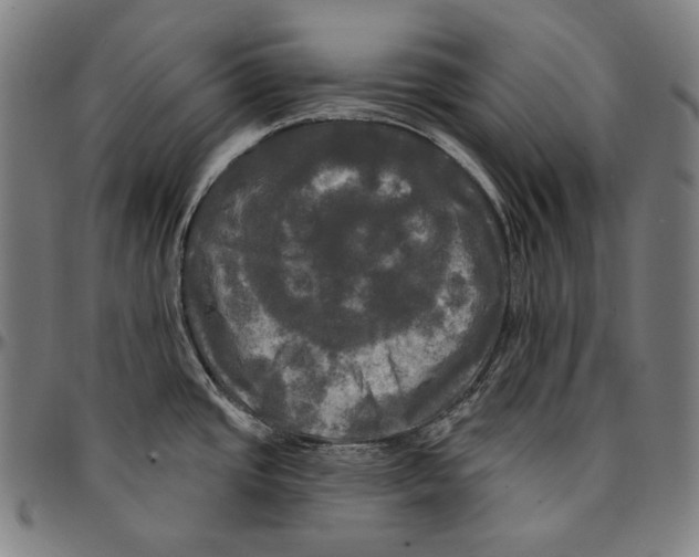 X0000095111437200801041150