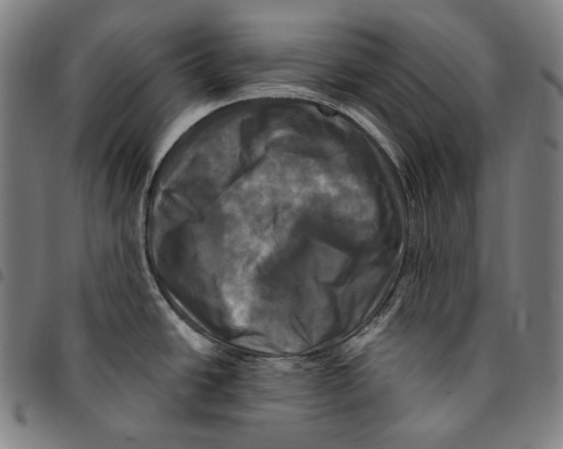 X0000095111438200801041150