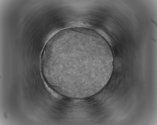 X0000095111439200801041150