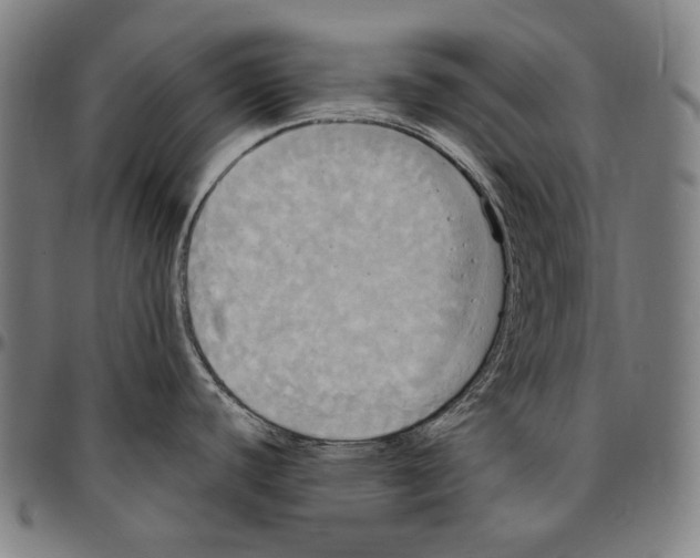 X0000095111440200801041150