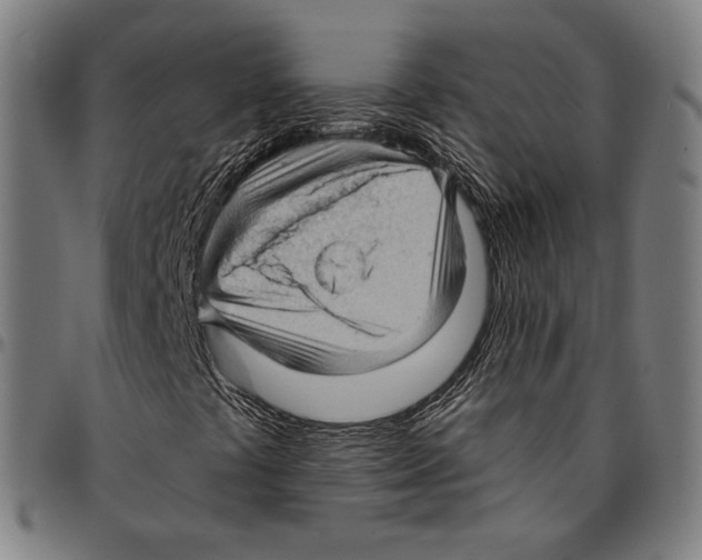 X0000095111441200801041149