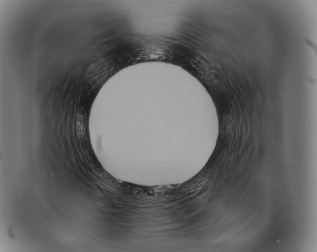 X0000095111442200801041149