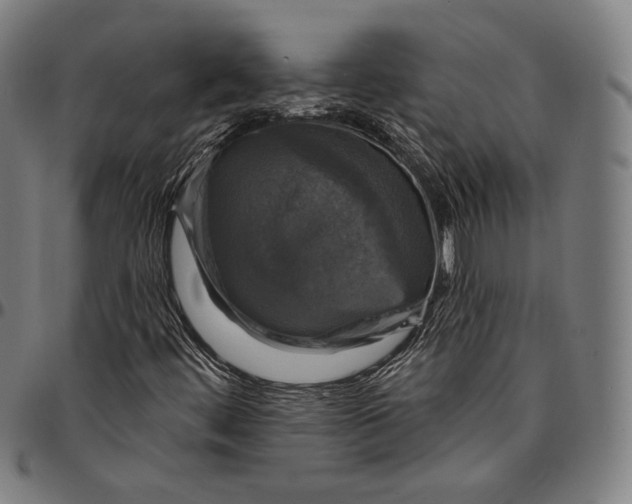 X0000095111444200801041149