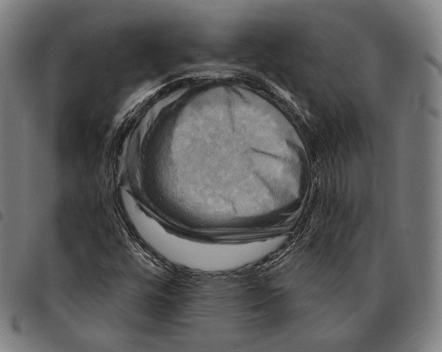 X0000095111448200801041149