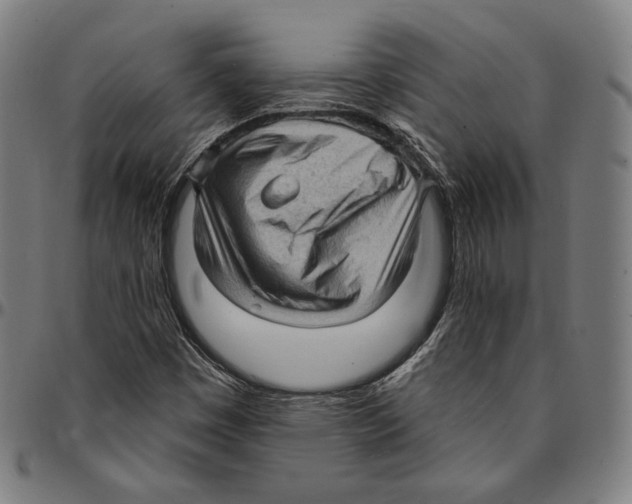 X0000095111449200801041149