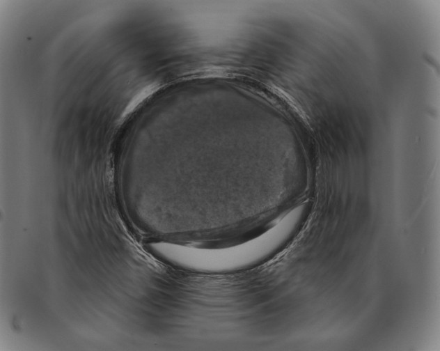 X0000095111450200801041149