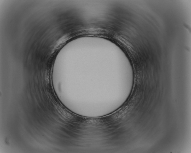 X0000095111451200801041149