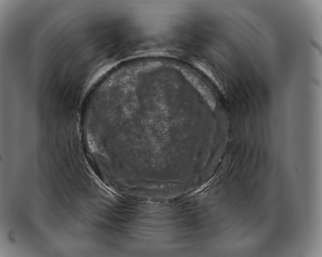 X0000095111452200801041149