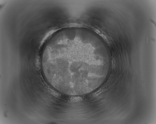 X0000095111454200801041149