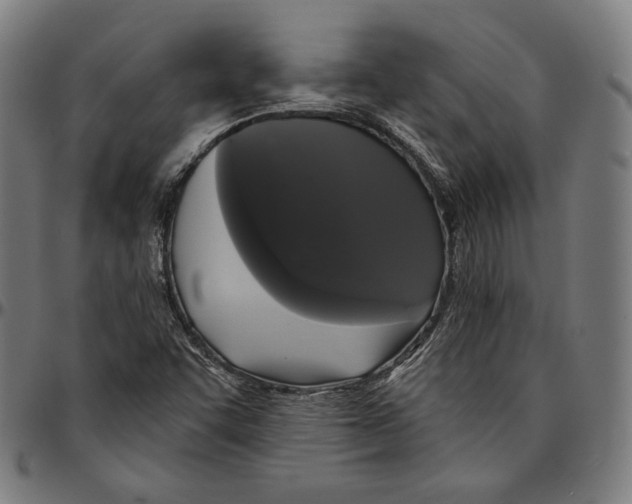 X0000095111455200801041149