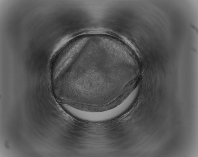 X0000095111456200801041149