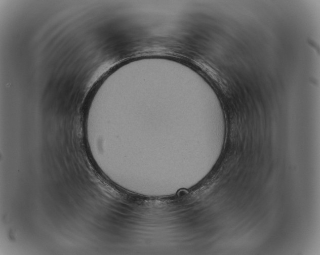 X0000095111458200801041149