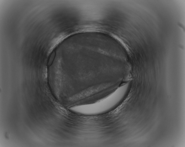 X0000095111461200801041149