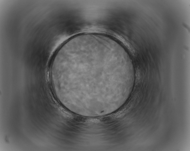 X0000095111462200801041149