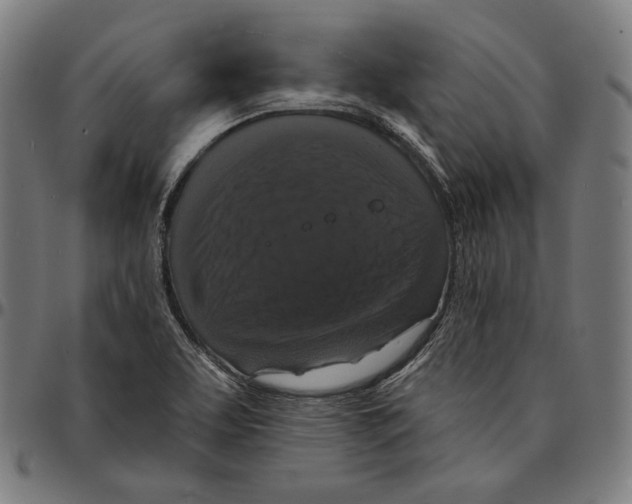 X0000095111463200801041149